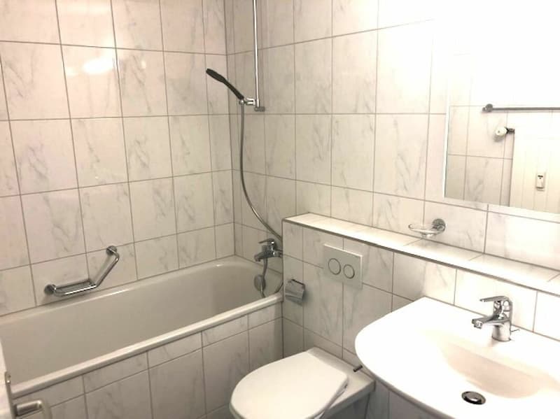 Ideal single apartment (4)