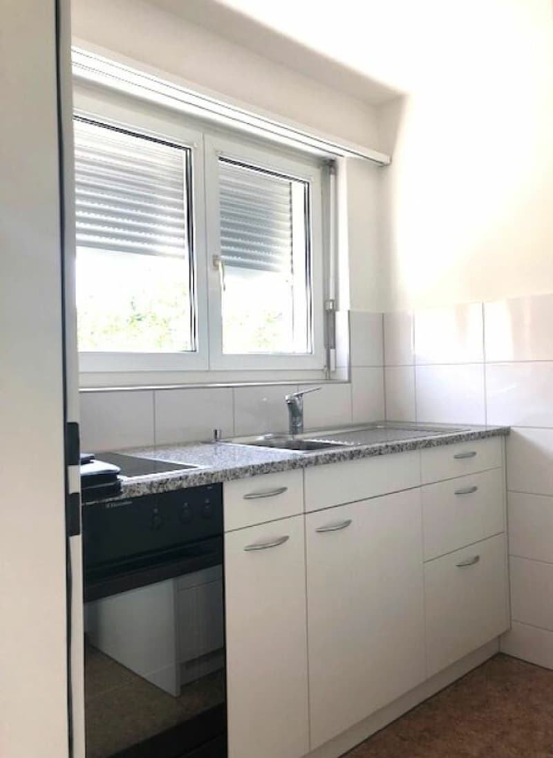 Ideal single apartment (1)