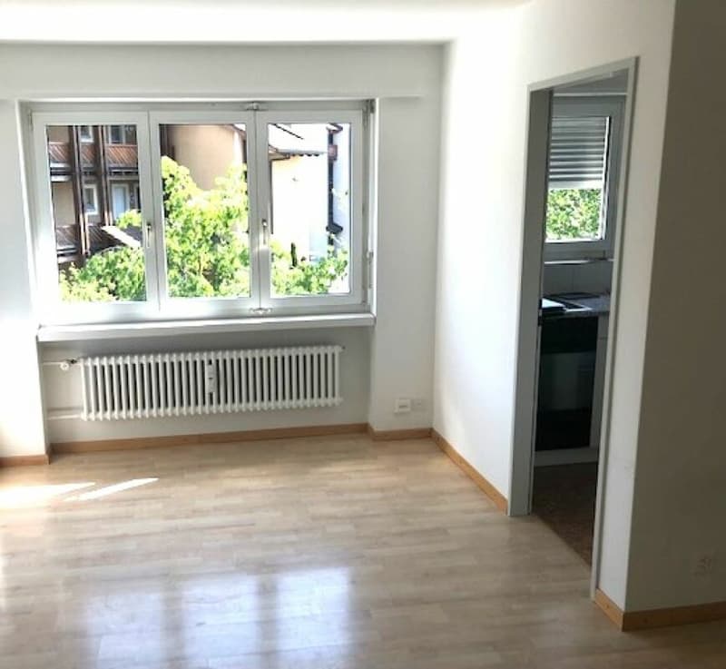 Ideal single apartment (5)