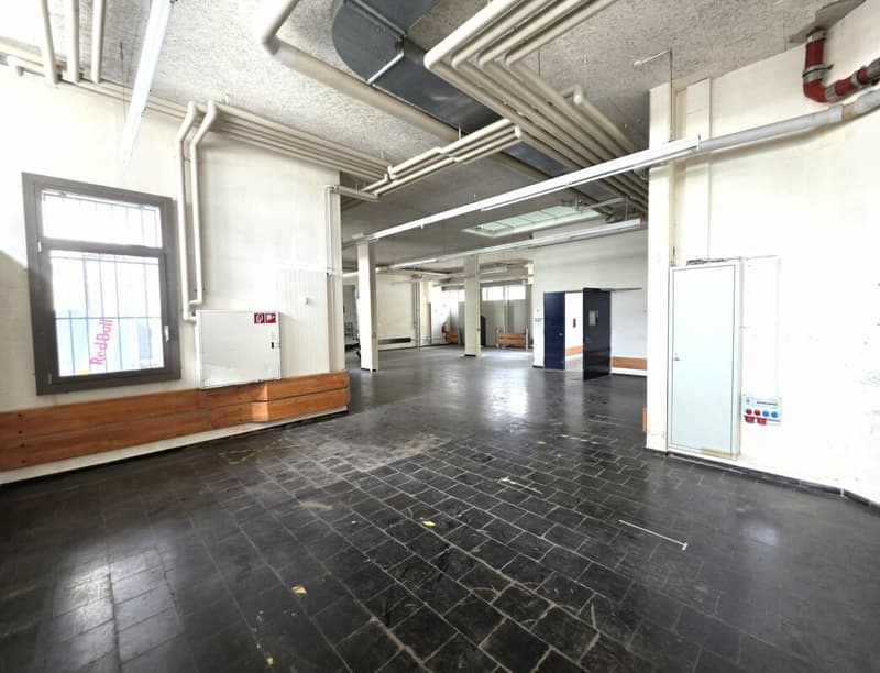 Werkstatt, ideal für Autoschrauber, Hobbyschreiner, etc. - direkt beim Bahnhof Romanshorn (4)