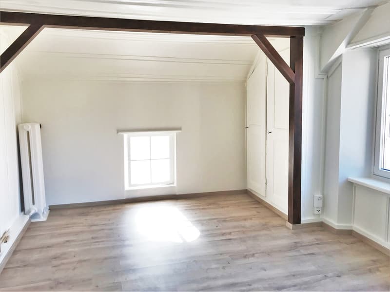 Très bel appartement lumineux de 3.5 pièces (4)