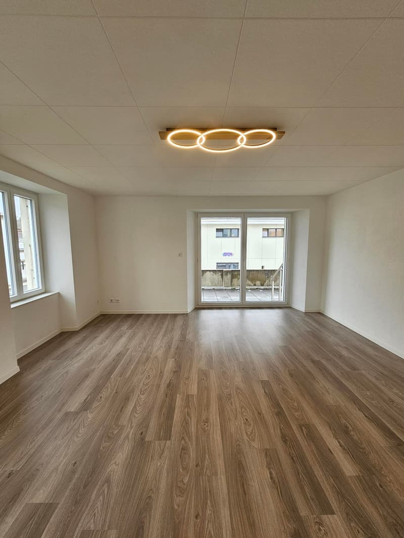 empty room, wooden floor, white walls, large windows, sliding glass door, modern ceiling light