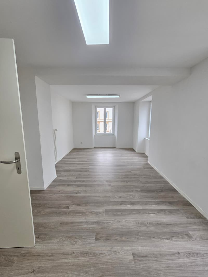 empty room, white walls, wooden floor, two windows, ceiling lights