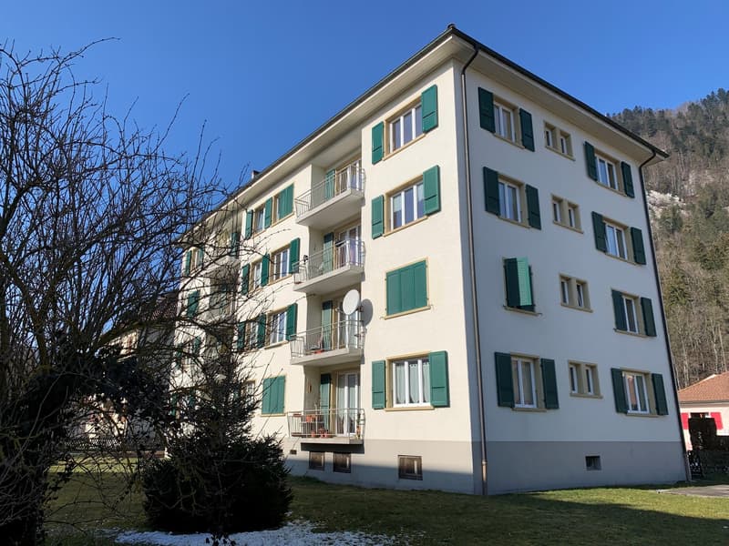 multi-story apartment building, multiple balconies, satellite dish, greenery in the foreground