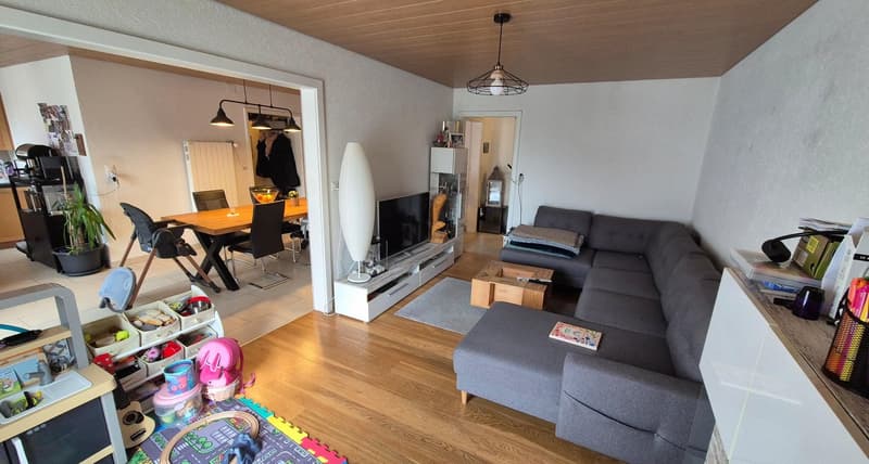Living room with wooden floor, gray couch, TV, dining table, chairs, potted plant, lamps, rug, toys, and a guitar.