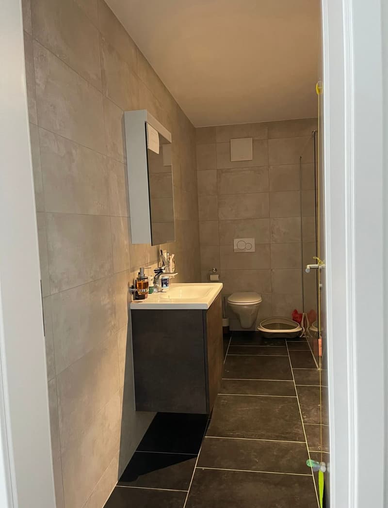 Discover without delay: superb new apartment with private garden (7)