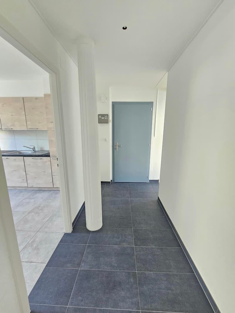 Appartamento ristrutturato di 4 locali nel centro del villaggio (3)