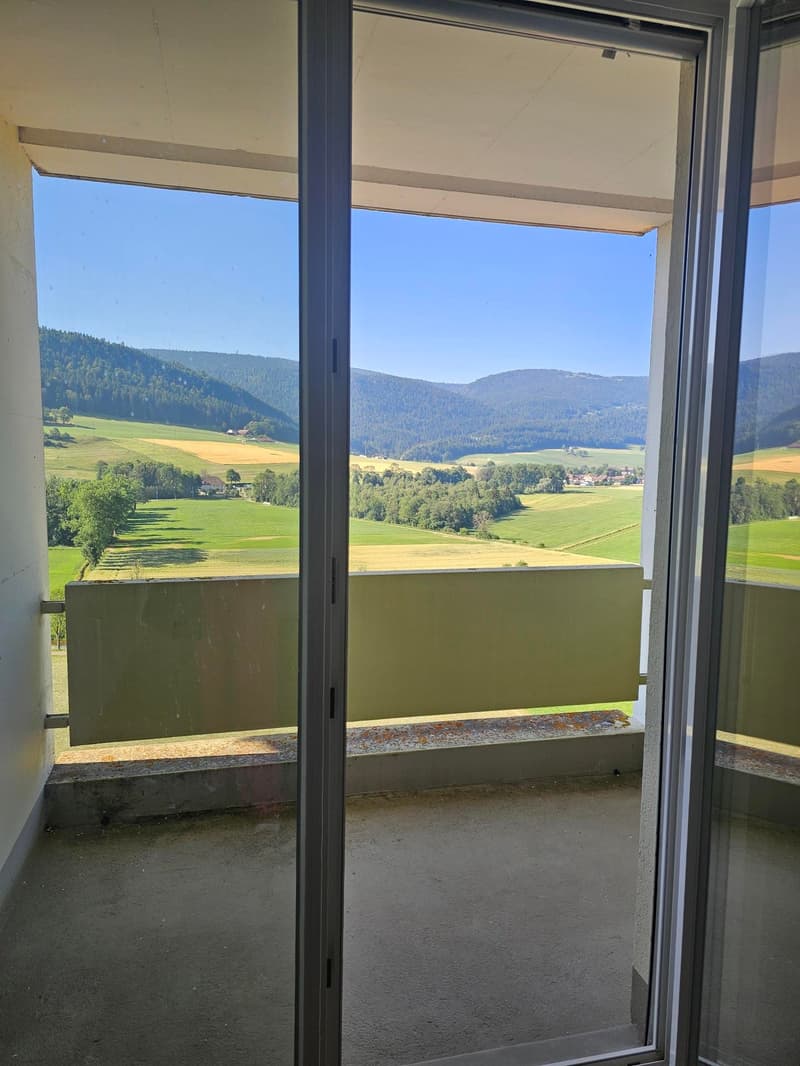 Renovated 4-room apartment with balconies and nice view (5)