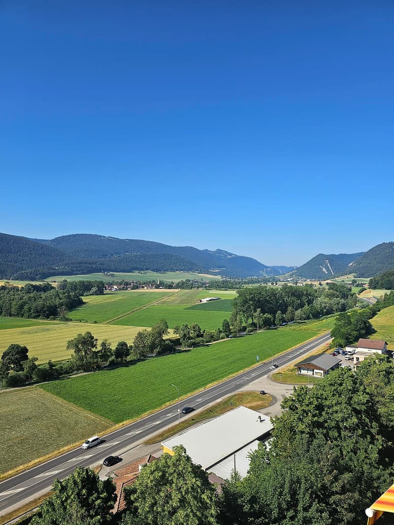 Renovated 4-room apartment with balconies and nice view (9)