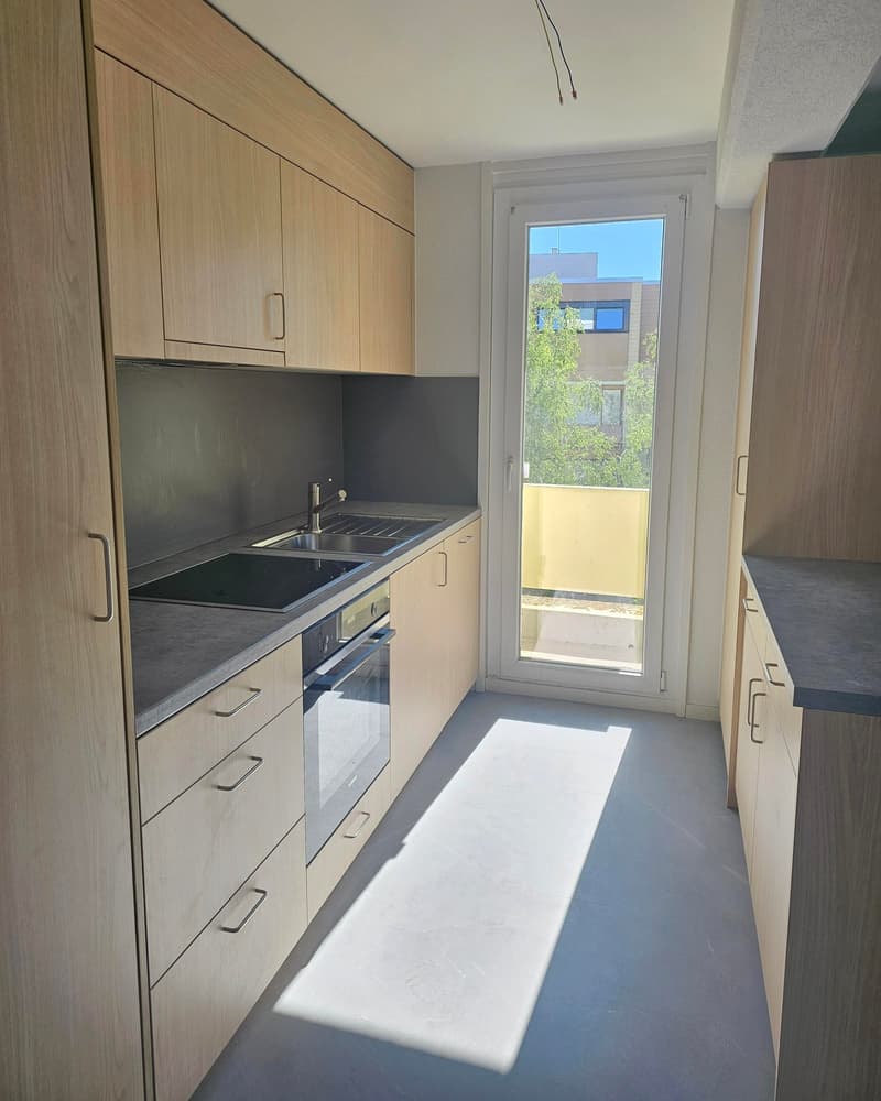 Renovated 4-room apartment with balconies and nice view (2)