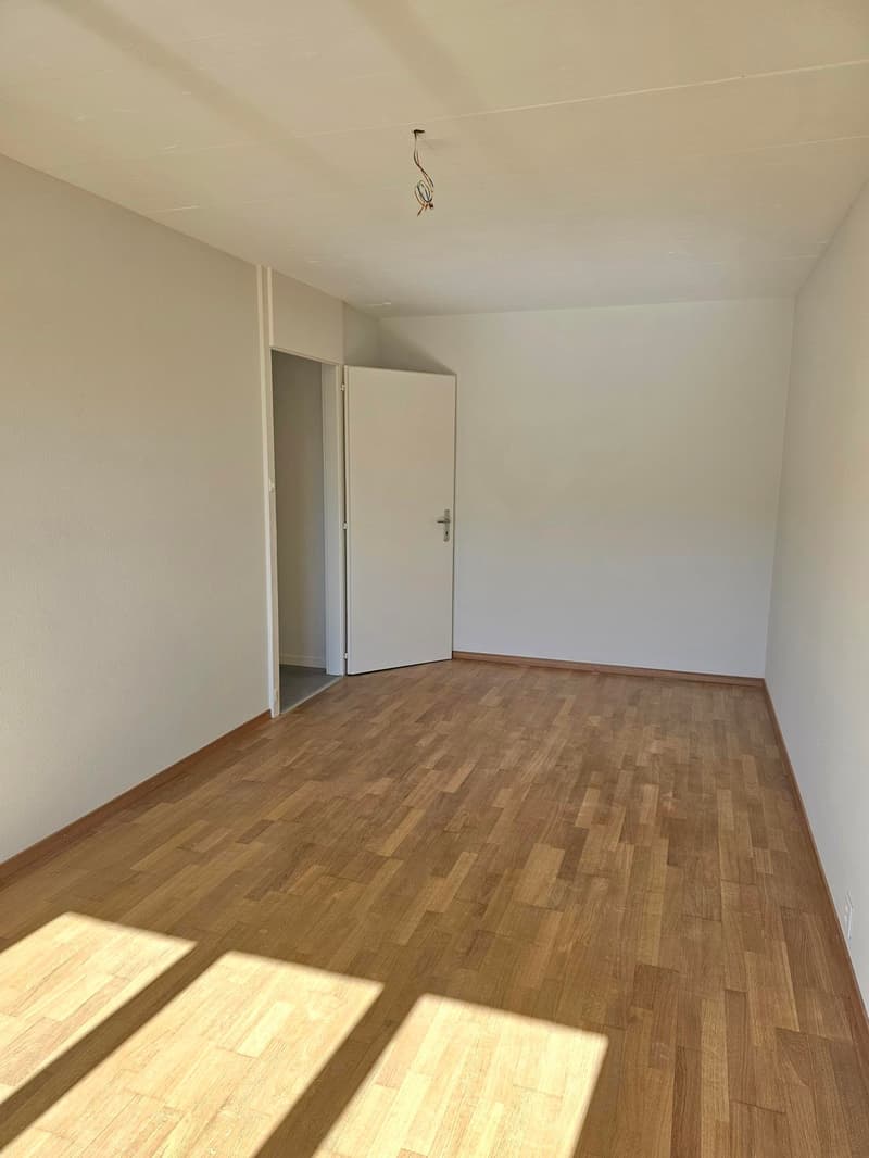 Renovated 4-room apartment with balconies and nice view (6)