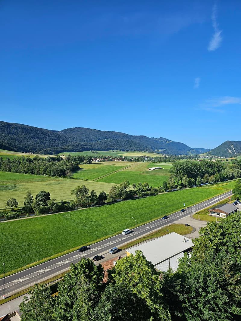 In Renovierung - 4-Zimmer-Wohnung mit Balkon und schöner Aussicht (2)
