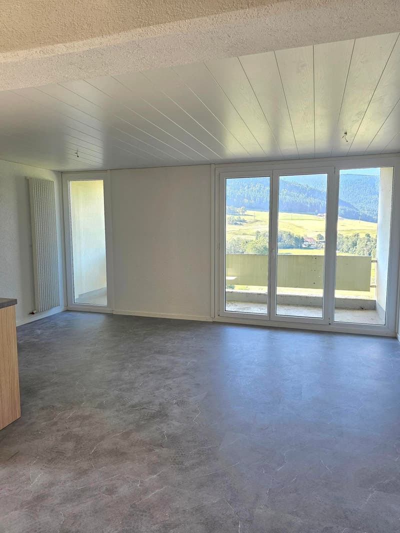 Renovated 4-room apartment with balconies and nice view (3)