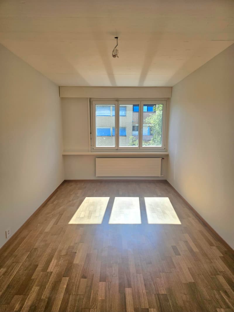 Renovated 4-room apartment with balconies and nice view (7)