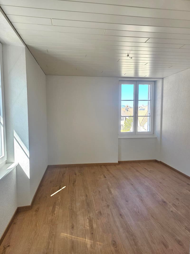 Beautiful renovated apartment in the center of Fleurier (9)
