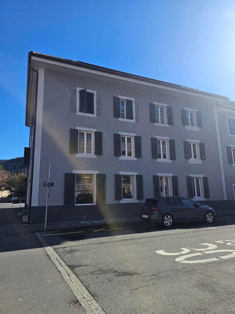 Beautiful renovated apartment in the center of Fleurier (13)