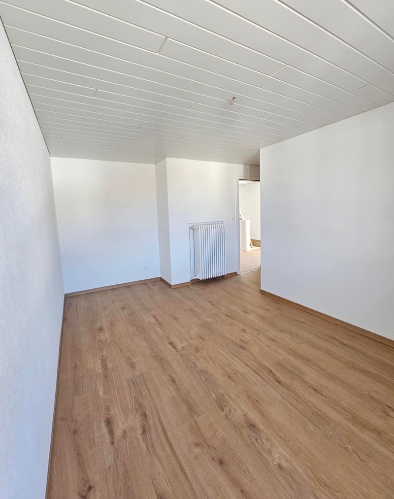 Beautiful renovated apartment in the center of Fleurier (8)