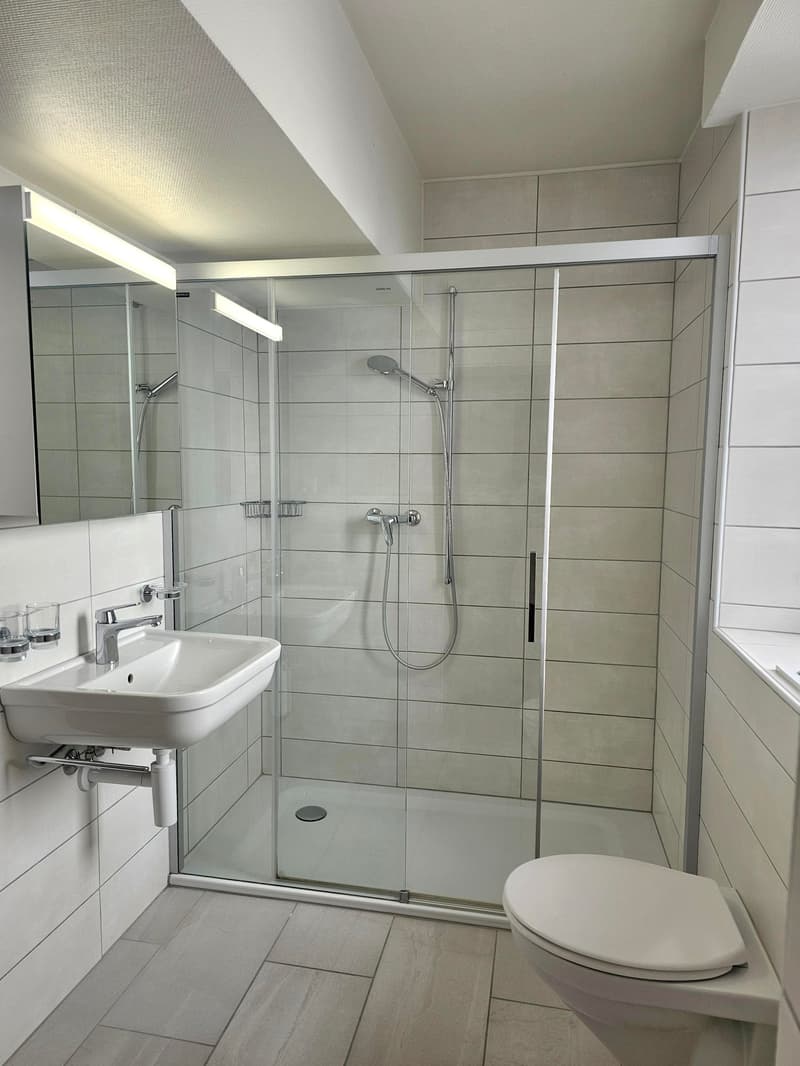 En cours de rénovation - Charmant 2.5 pièces au centre du village (8)
