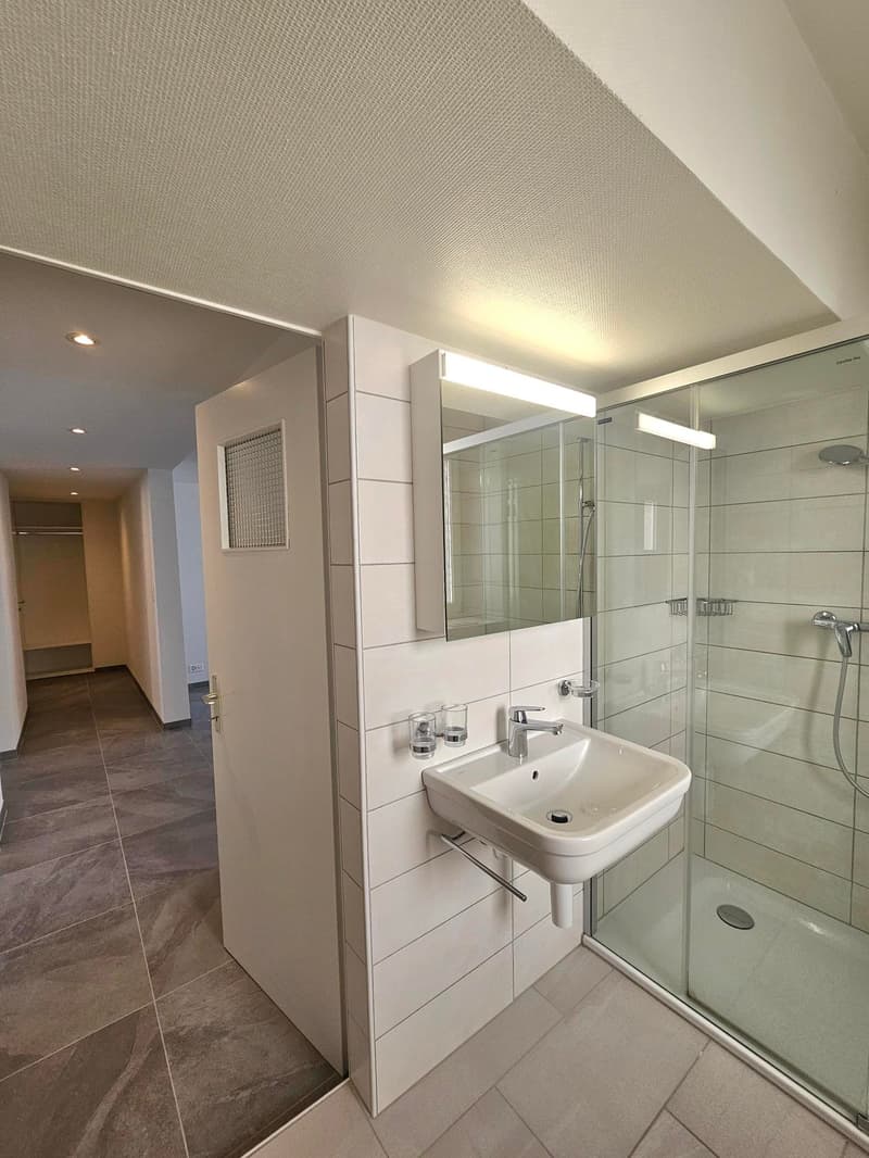 En cours de rénovation - Charmant 2.5 pièces au centre du village (7)
