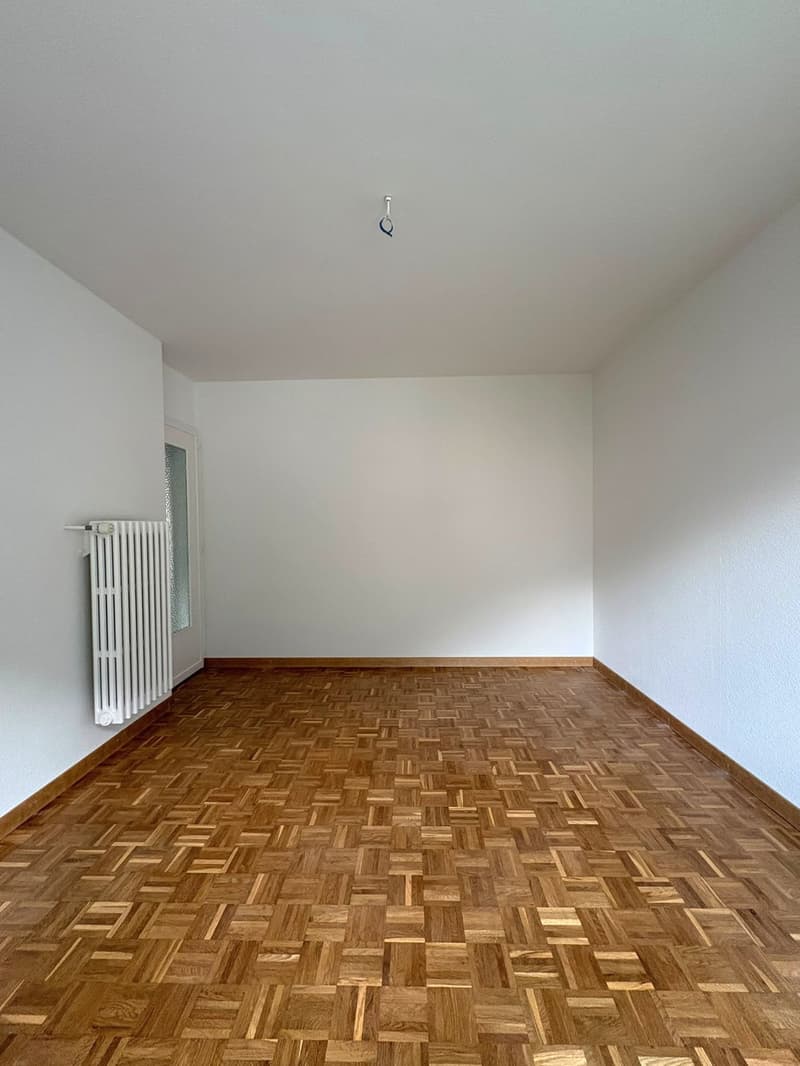 Appartement de 3 pièces rénové avec grand balcon (7)