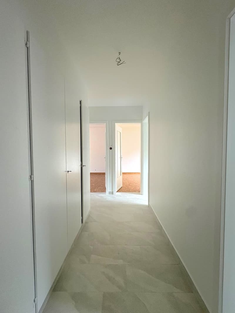Appartement de 3 pièces rénové avec grand balcon (3)