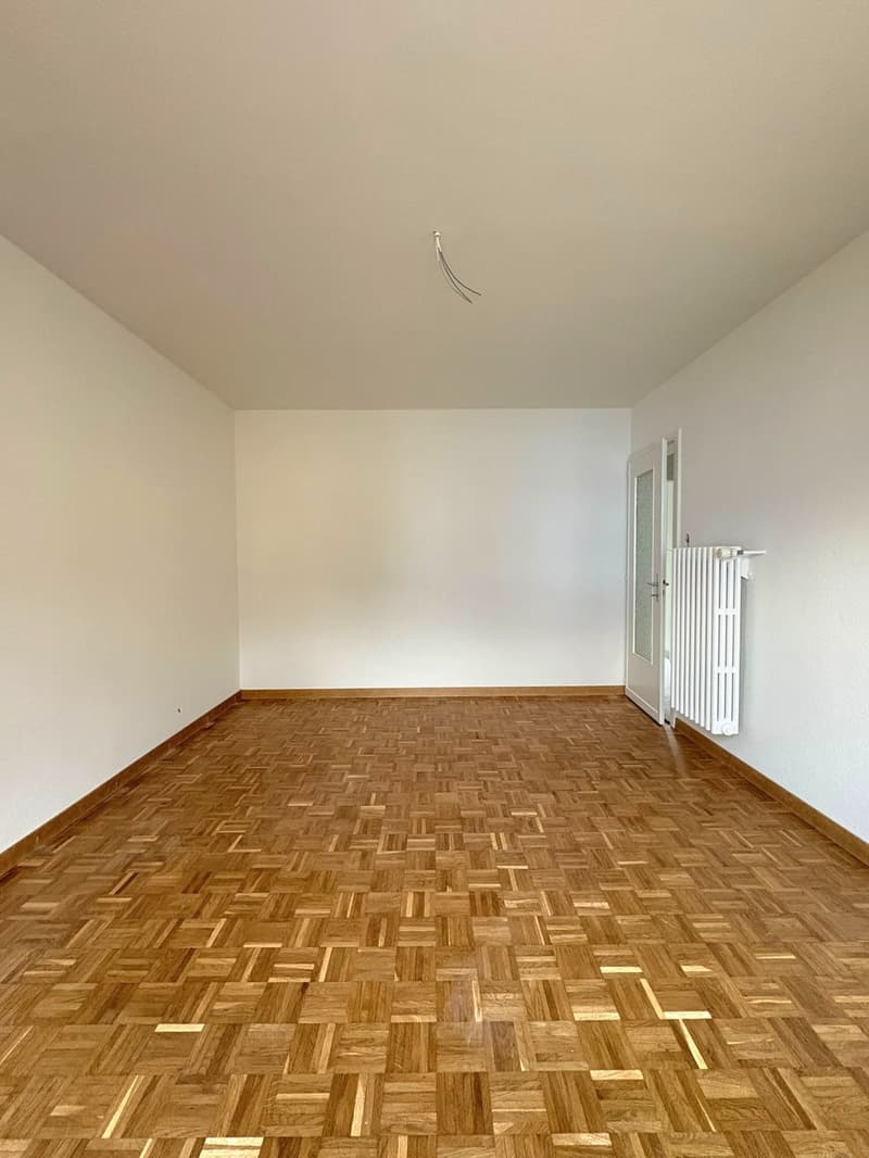 Appartement de 3 pièces rénové avec grand balcon (8)