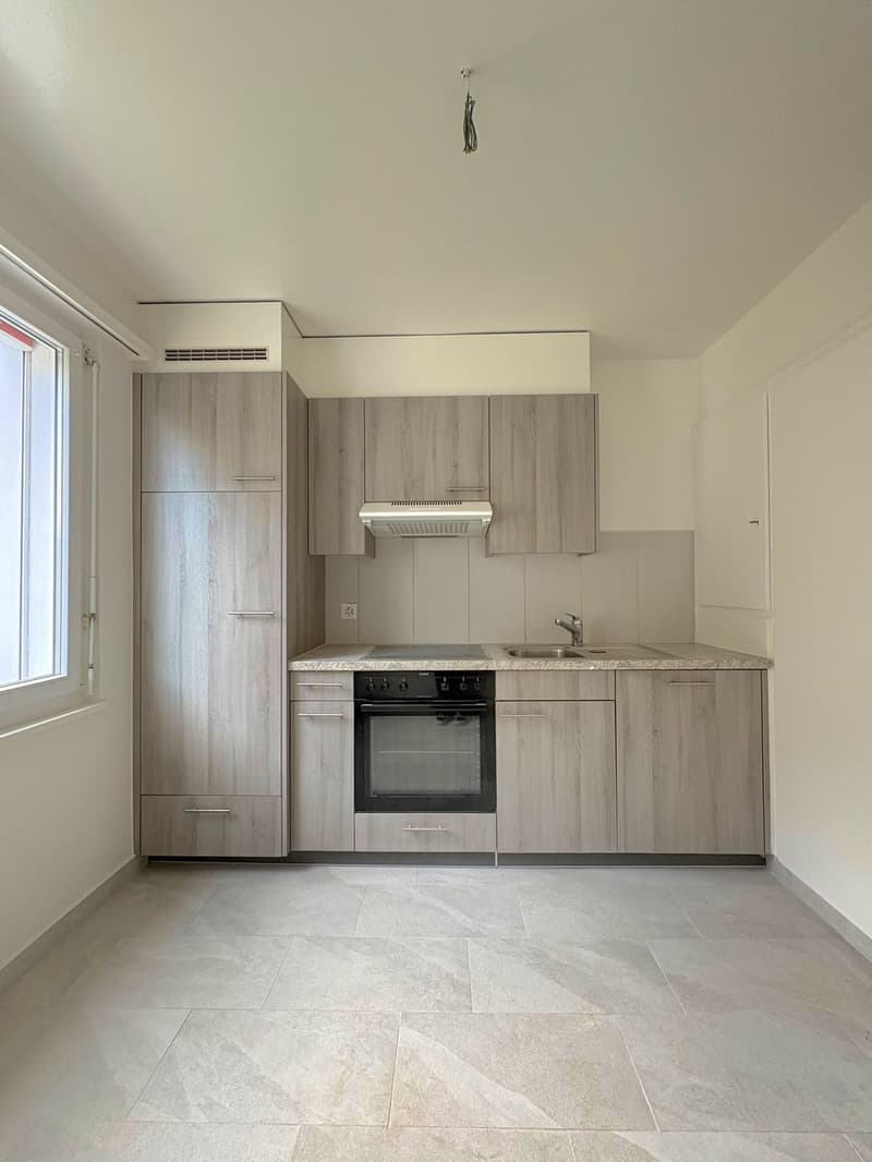 Appartement de 3 pièces rénové avec grand balcon (2)