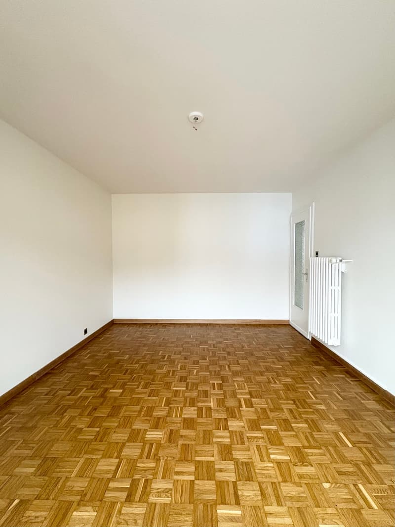 Appartement de 3 pièces lumineux avec grand balcon (7)