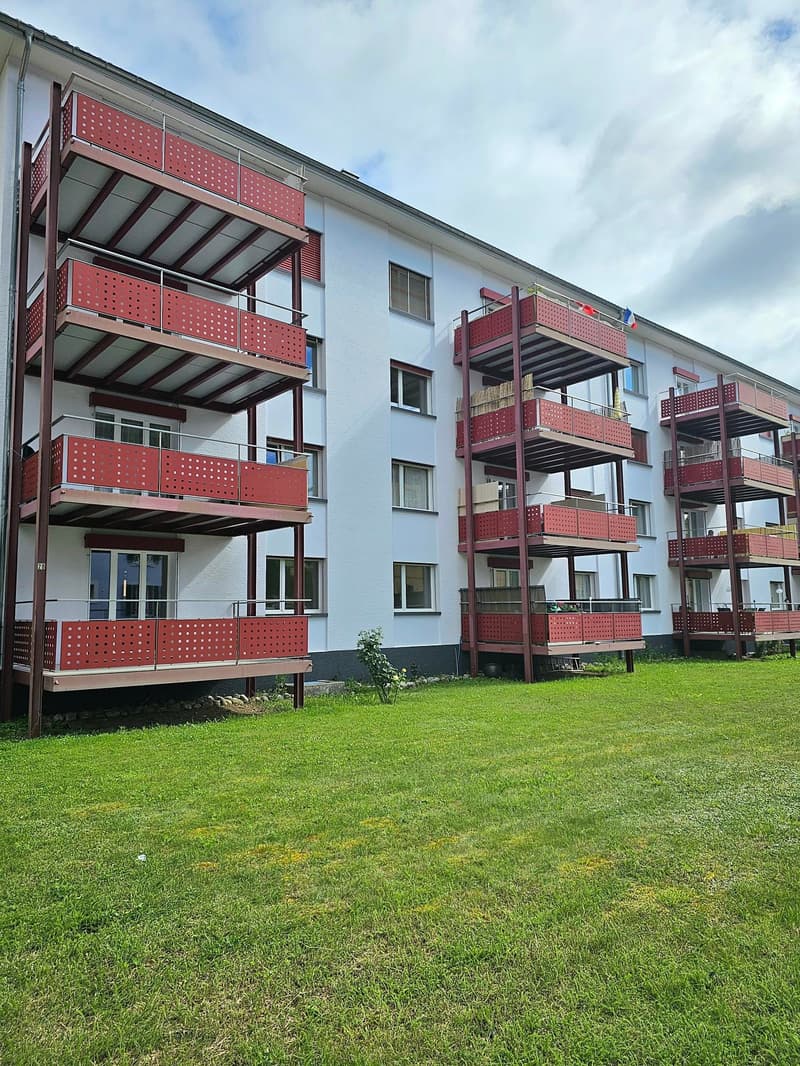 Appartement de 3 pièces lumineux avec grand balcon (10)