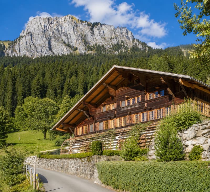 Charmant chalet à Erlenbach im Simmental – Vie idyllique dans l'Oberland bernois (1)