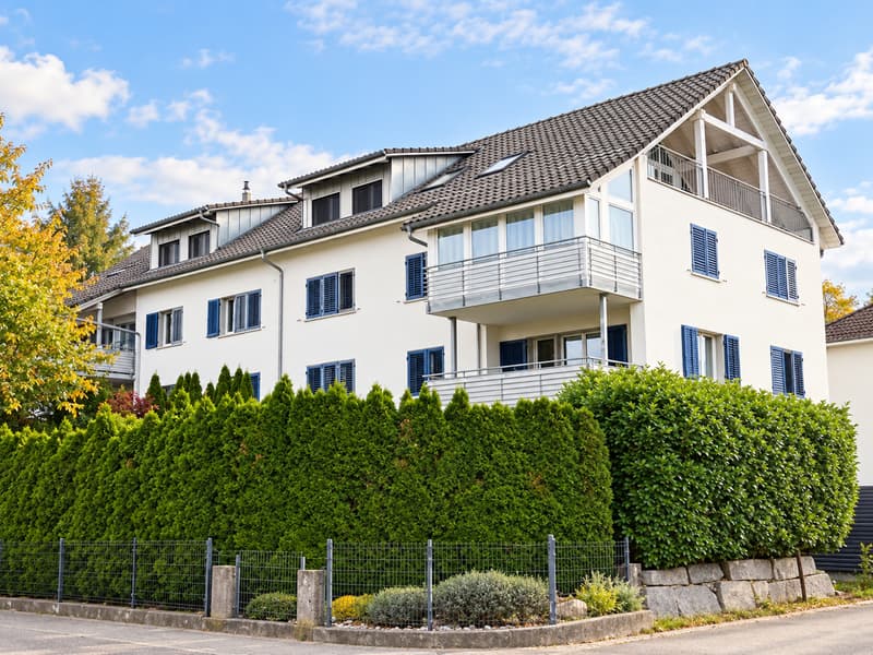 Charmante 7-Zimmer-Dachgeschosswohnung in Romanshorn (1)