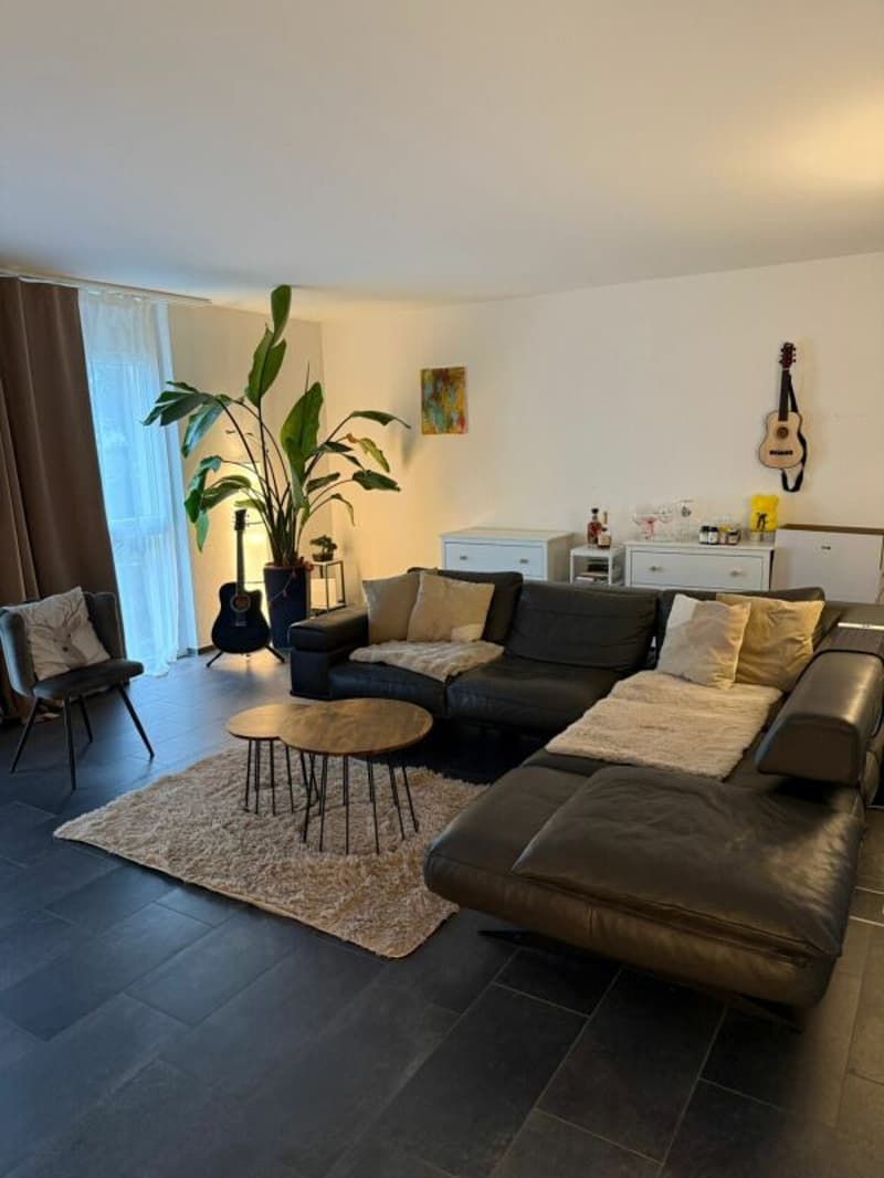 Modern, bright and attractive 4.5-room apartment (1)