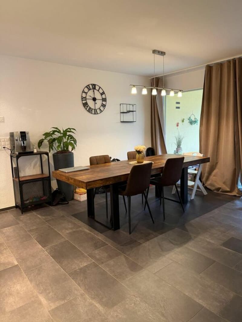 Modern, bright and attractive 4.5-room apartment (2)