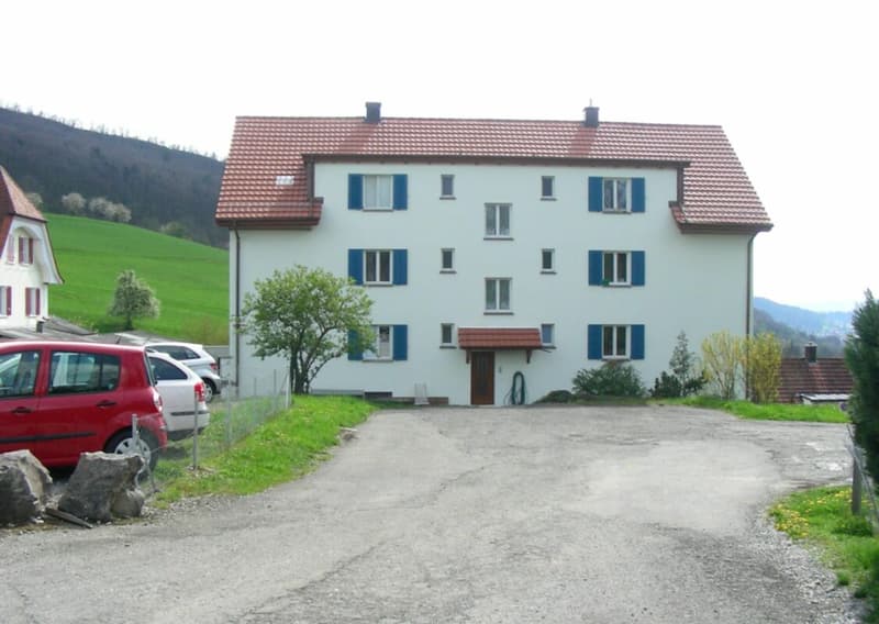 Gemütliche 3-Zi. WHG in naturnaher Umgebung mit Blick über Ennetbaden (7)
