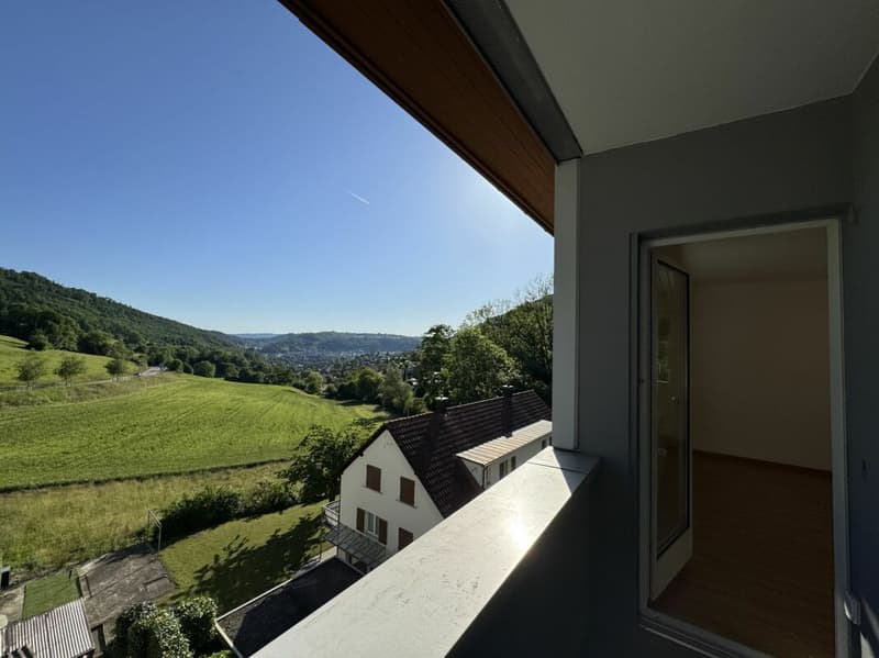 Gemütliche 3-Zi. WHG in naturnaher Umgebung mit Blick über Ennetbaden (2)