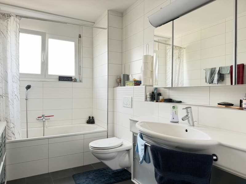 Moderne, helle und attraktive 4,5-Zi. Wohnung in Niederrohdorf AG (9)