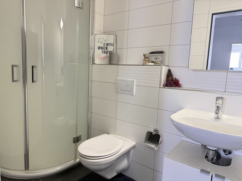 Moderne, helle und attraktive 4,5-Zi. Wohnung in Niederrohdorf AG (10)