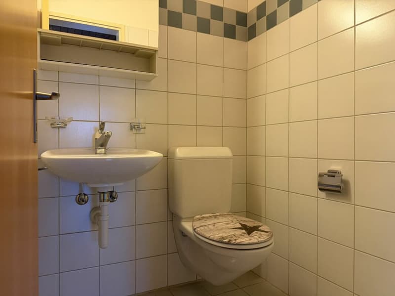Charmante 3.5-Zi.-Dachwohnung mit Cheminée in Menziken AG (13)