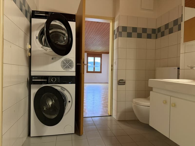 Charmante 3.5-Zi.-Dachwohnung mit Cheminée in Menziken AG (12)