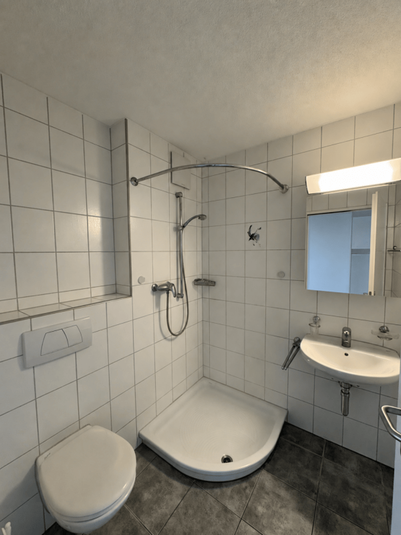 Attraktive 3,5-Zi. Wohnung in ruhigem und gepflegtem Wohnquartier (7)