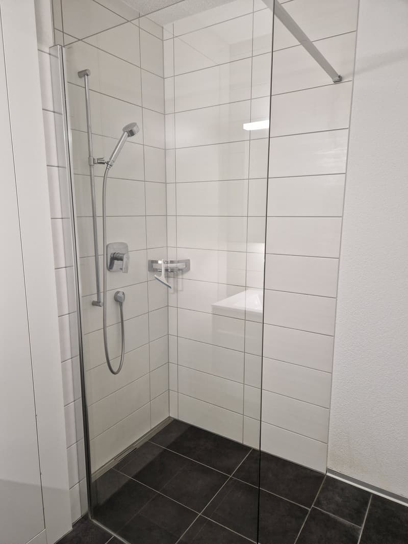 Modern 2.5-room attic apartment in Schwarzenburg, suitable for personal use or capital investment (10)