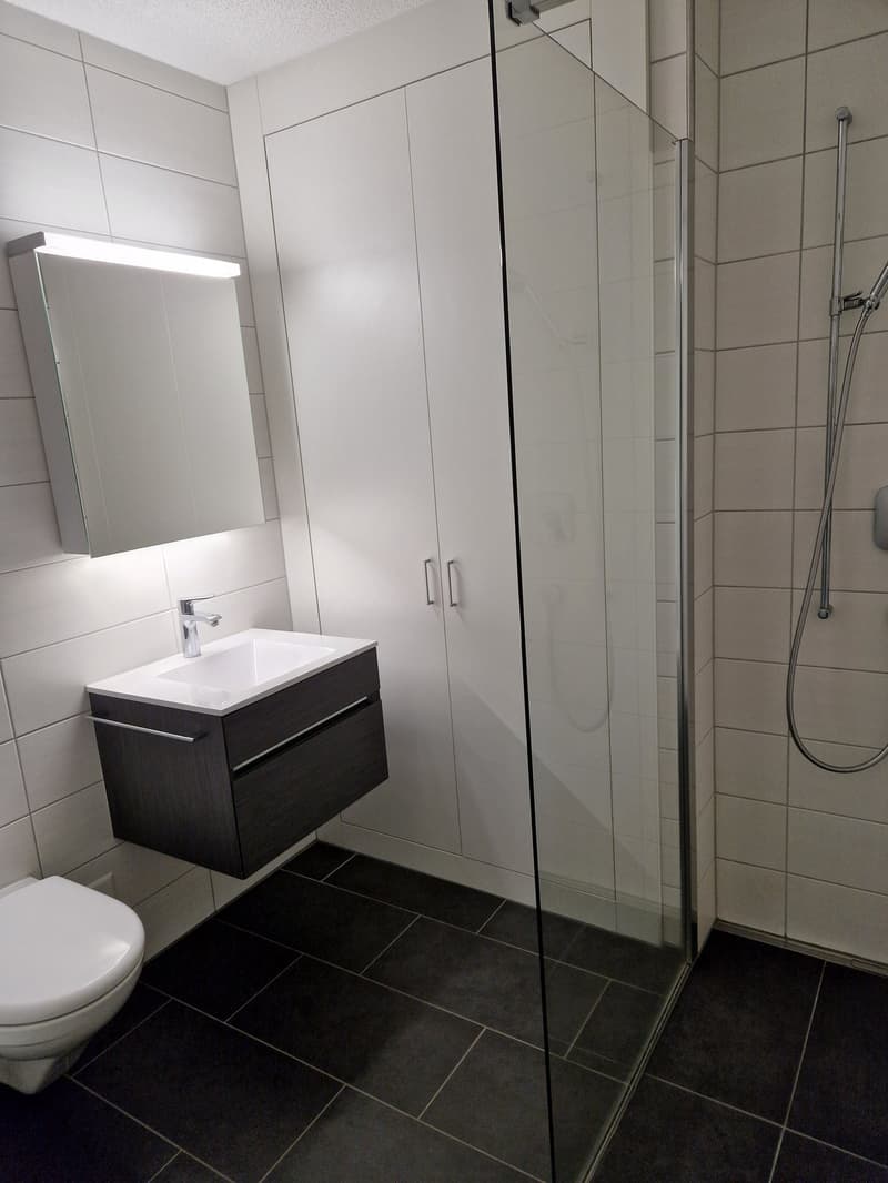 Modern 2.5-room attic apartment in Schwarzenburg, suitable for personal use or capital investment (11)