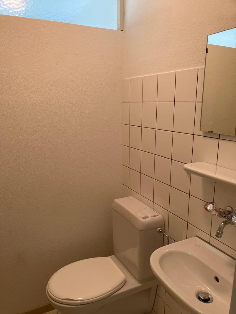 Helle 4.5-Zimmer-Wohnung mit Süd-Ausrichtung und schöner Aussicht (5)