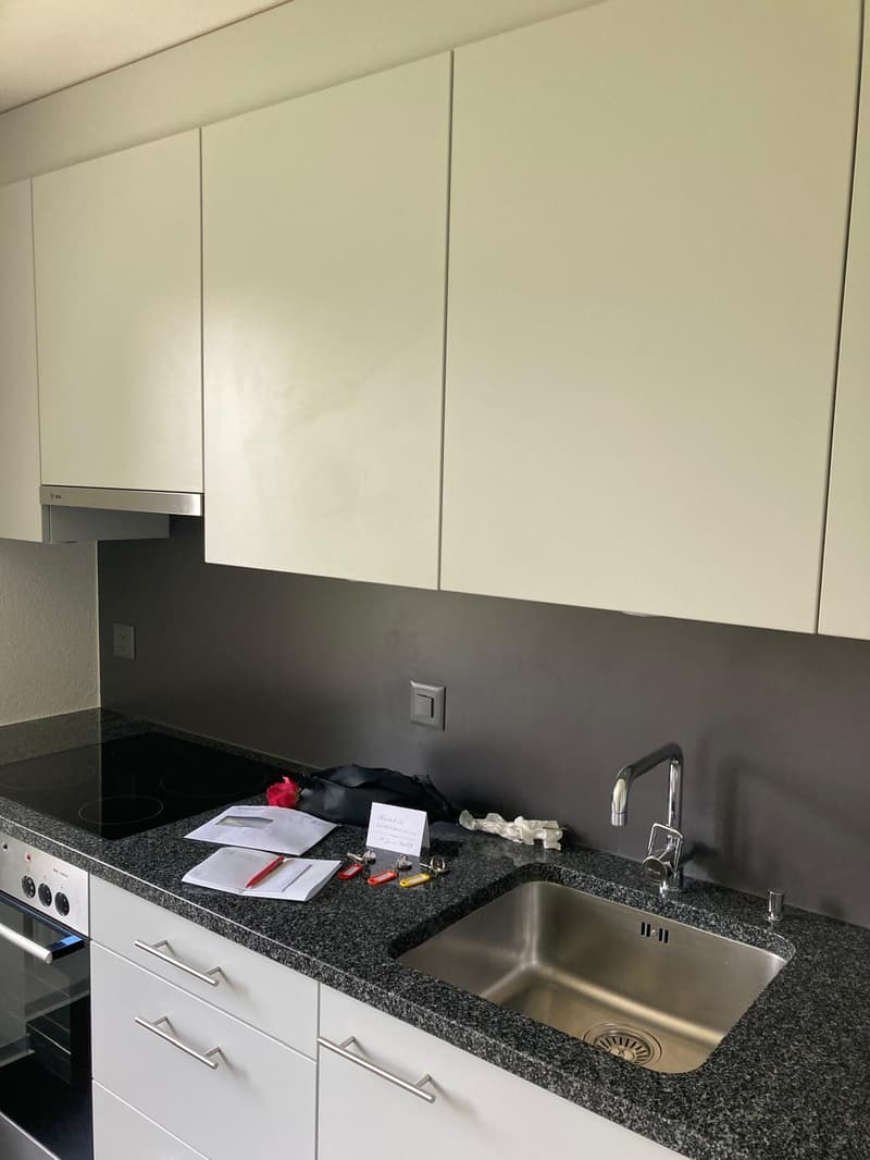 Helle 4.5-Zimmer-Wohnung mit Süd-Ausrichtung und schöner Aussicht (7)