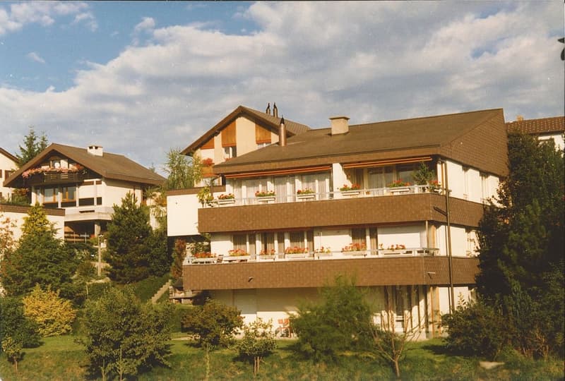 Helle 4.5-Zimmer-Wohnung mit Süd-Ausrichtung und schöner Aussicht (1)