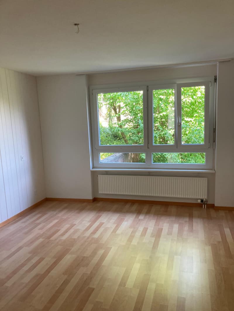 Helle 4.5-Zimmer-Wohnung mit Süd-Ausrichtung und schöner Aussicht (2)