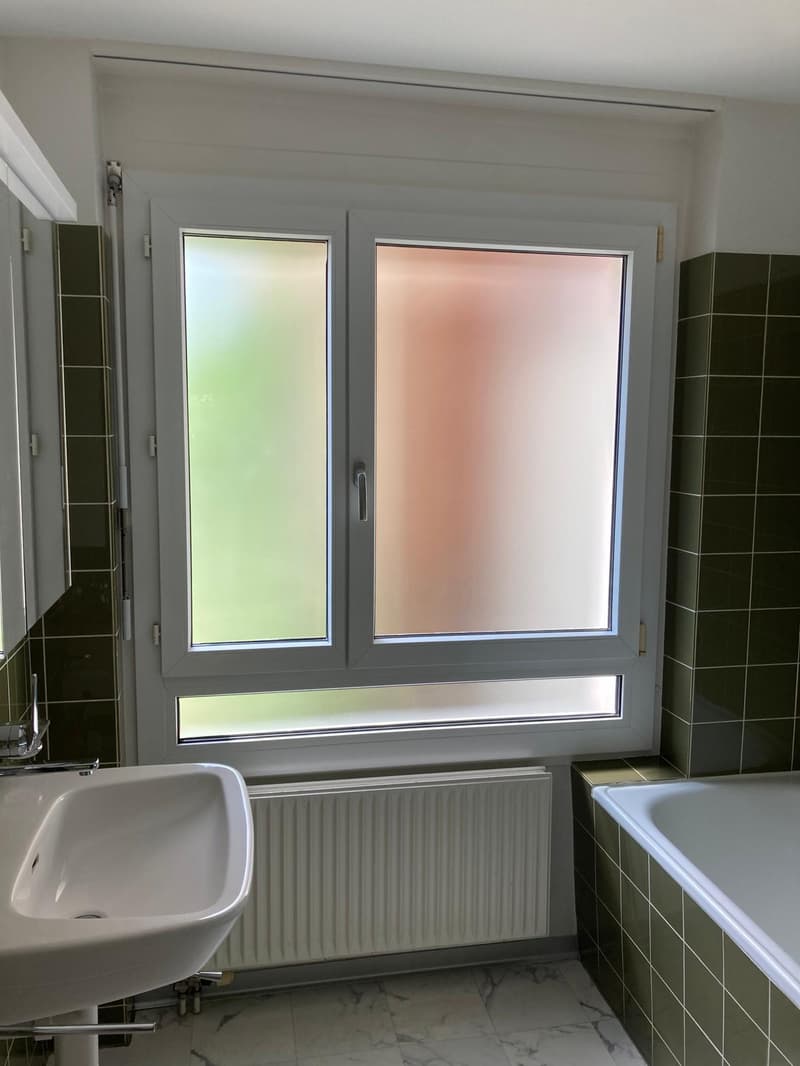 Helle 4.5-Zimmer-Wohnung mit Süd-Ausrichtung und schöner Aussicht (8)