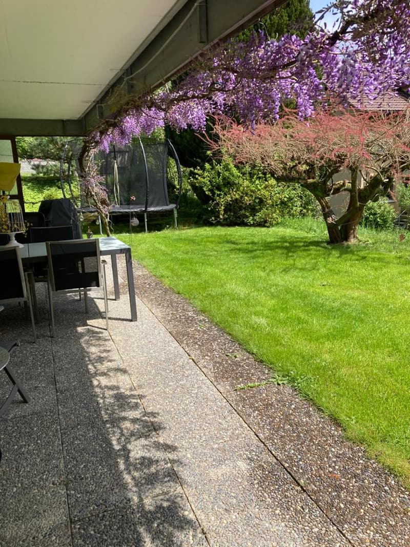 Gemütliche 3-Zimmer-Wohnung mit Terrasse und Rasenfläche (8)