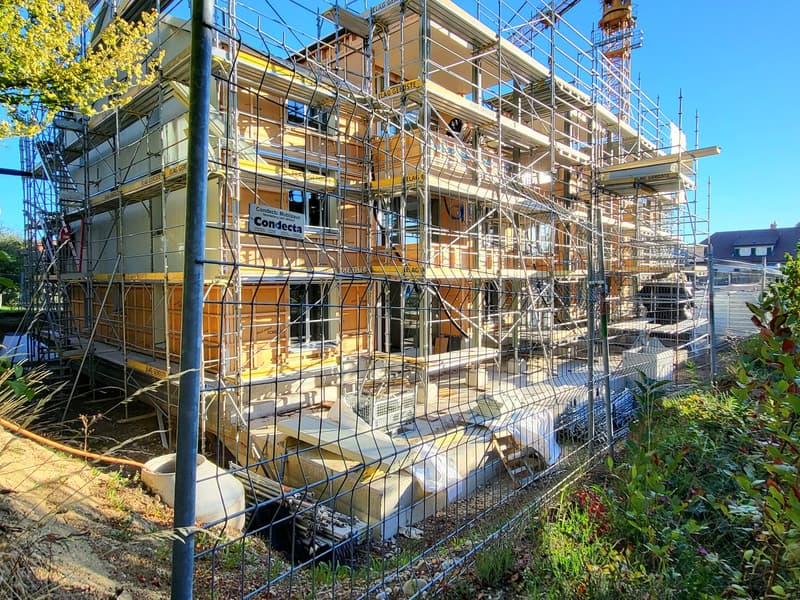 Neubauprojekt Alchenfuhren - Holzbau