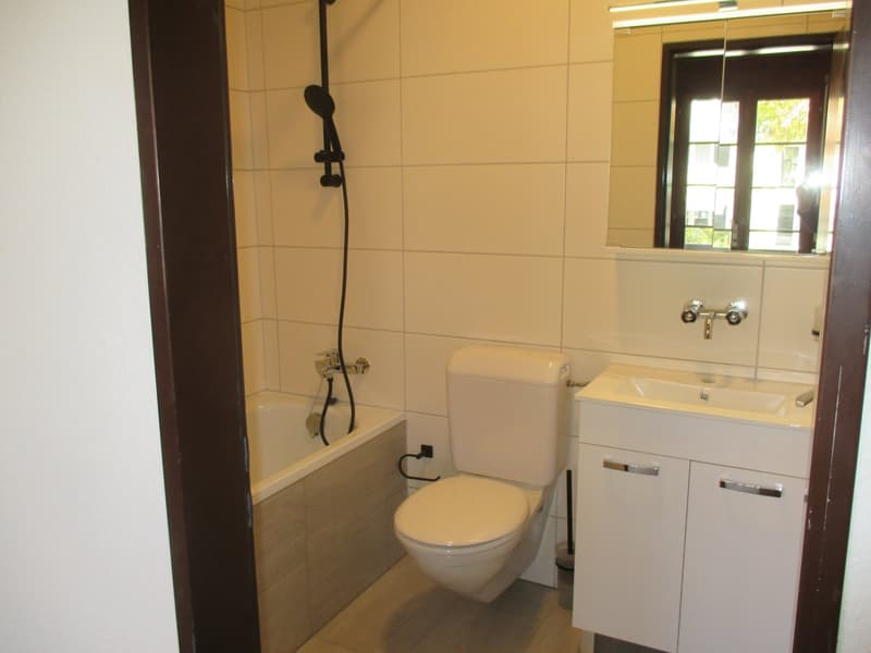 Im Zentrum von Schwarzenburg zu vermieten 1-Zimmerwohnung (6)